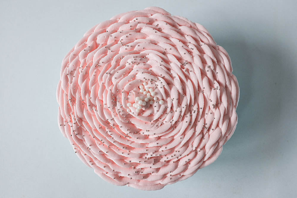Sugar Rose