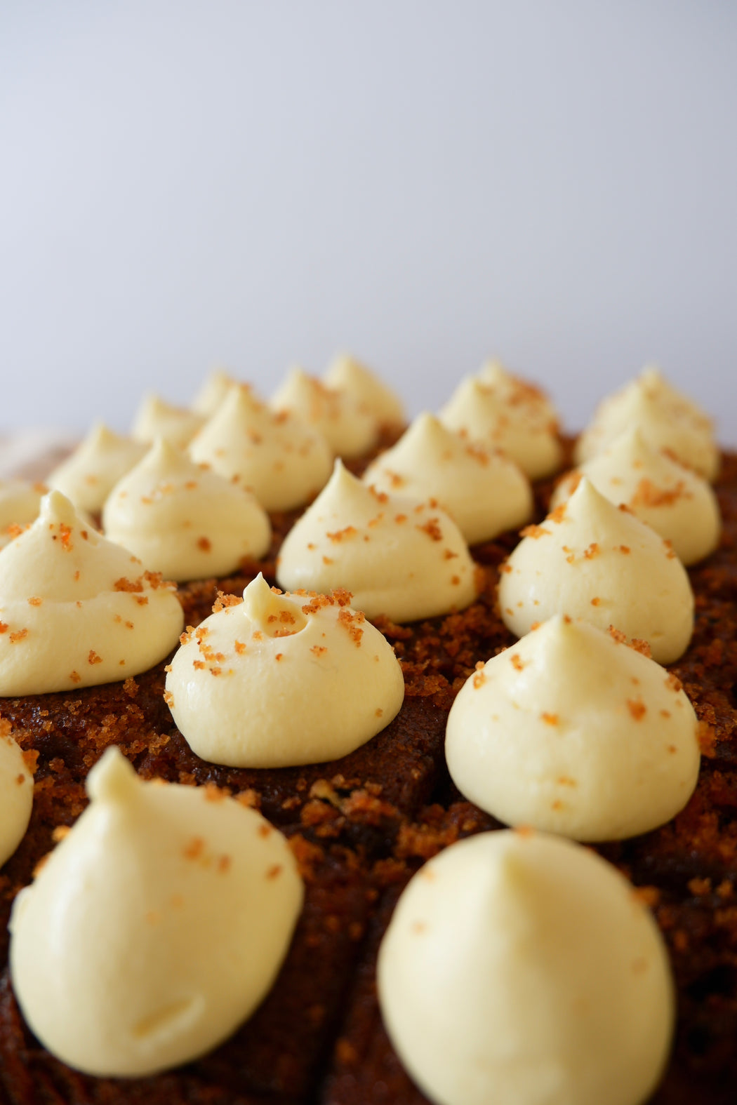 Carrot Cheese Squares