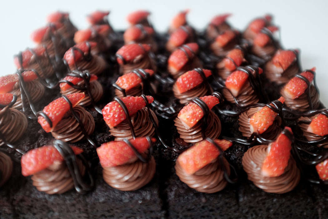 Dark Chocolate Fudge Squares